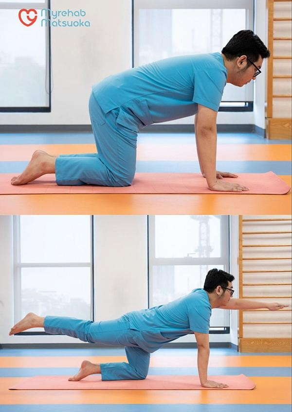 Bài tập Bird - Dog giúp giãn cơ cột sống