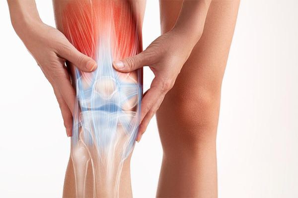 Dây chằng chéo là bộ phận kiểm soát sự chuyển động của khớp gối