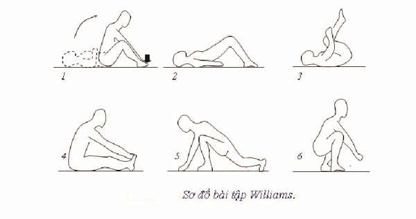 Các bài tập Williams chủ yếu là các tư thế gập