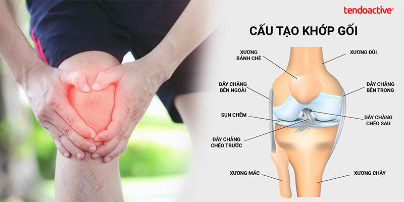 Chấn thương mâm chày và dây chằng chéo thường xuất hiện cùng lúc