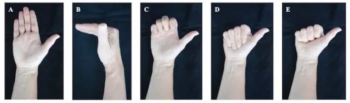 Các kĩ thuật trượt gân bàn tay