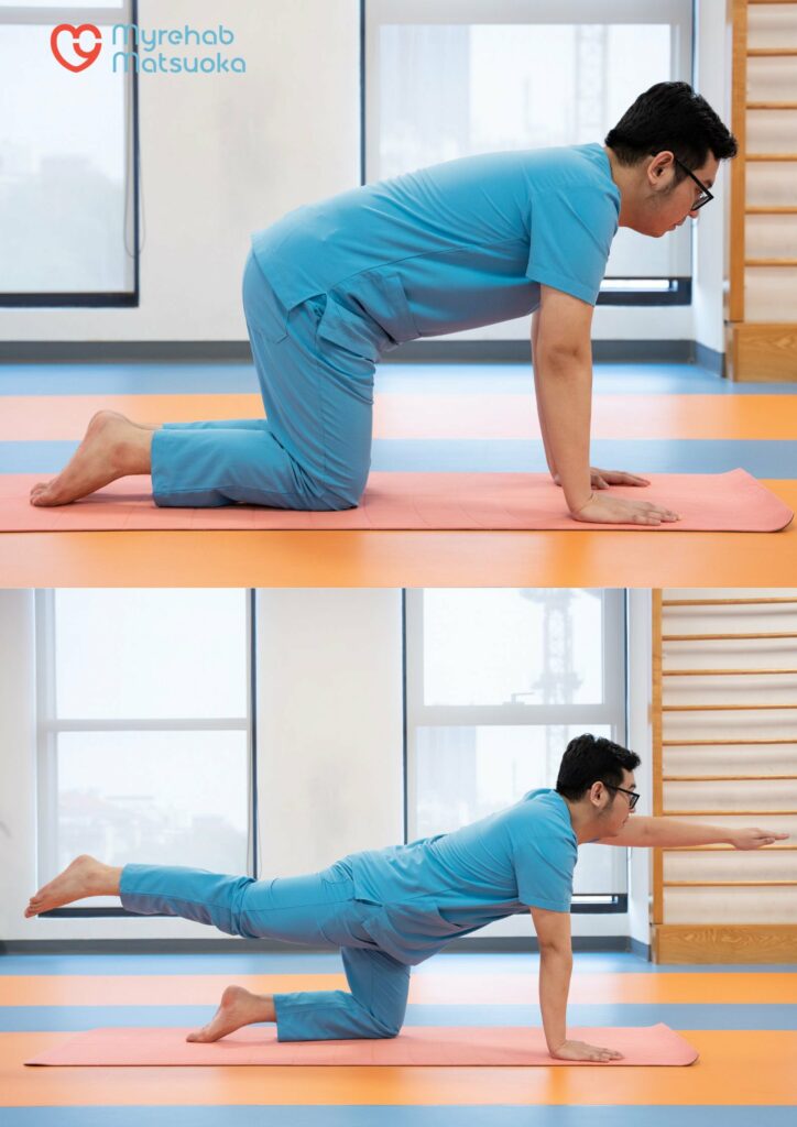 Tư thế Chim - Chó giúp tăng ổn định cột sống và cải thiện phối hợp giữa cơ lõi – hông