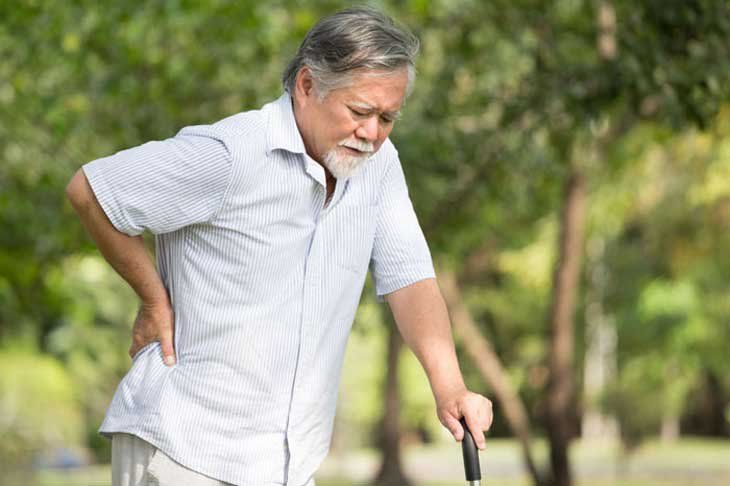 Quá trình thoái hoá tự nhiên và sự suy giảm khối lượng cơ ở người cao tuổi ảnh hưởng trực tiếp đến độ vững chãi của cột sống