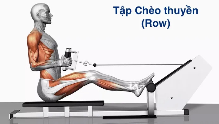Bài tập Rowing
