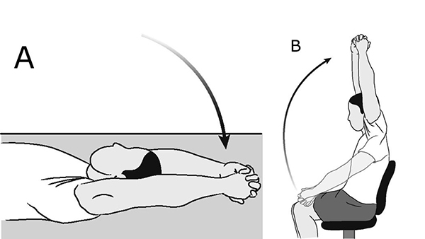 Bài tập nâng cao vai về phía trước 