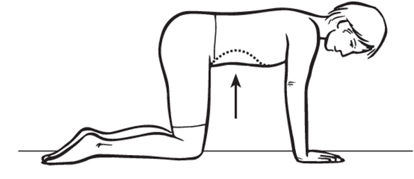 Bài tập hóp bụng