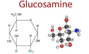 Glucosamine