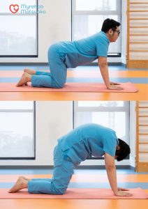 bài tập cải thiện đau lưng