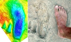 Bàn chân tiếp xúc với bề mặt mềm