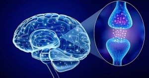 Serotonin giúp duy trì giấc ngủ sâu