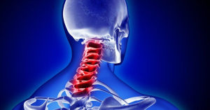 Cấu tạo của cột sống cổ