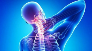 Cột sống cổ giúp bảo vệ tủy sống cổ và hệ thần kinh trung ương